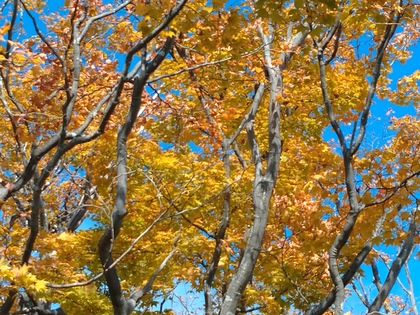 10月の振り返り
「つながり」