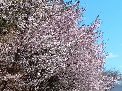 4月の振り返り