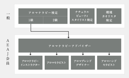 【私の物語５】アロマテラピー1級合格後